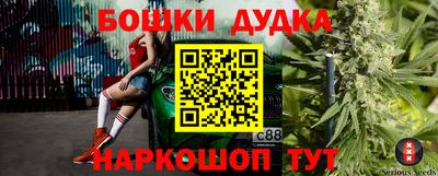 мдпв Обь