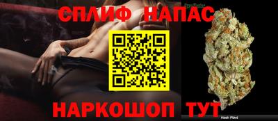мдпв Обь