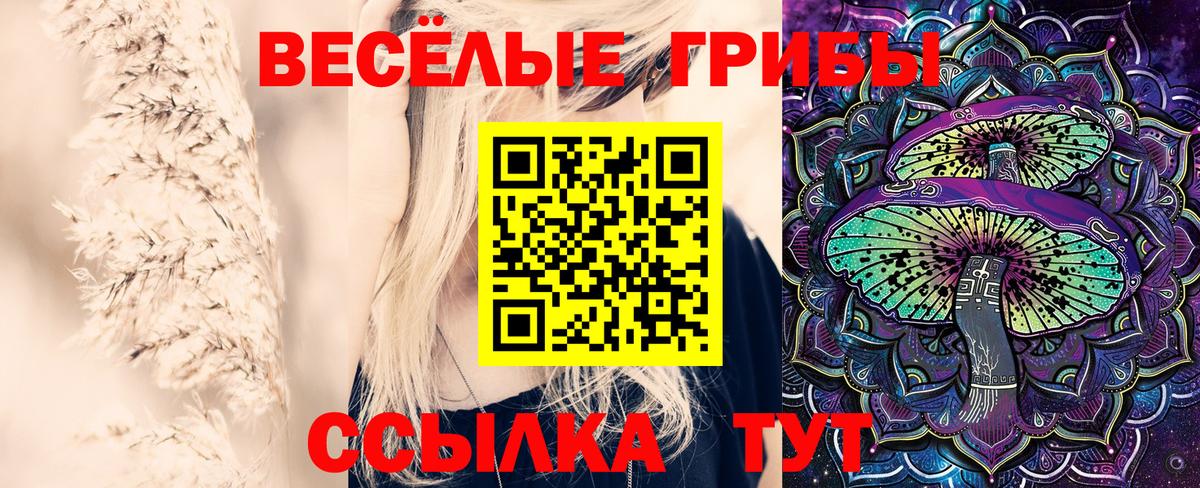 Галлюциногенные грибы Psilocybine cubensis Рузаевка
